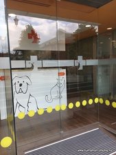 PUERTA AUTOMATICAS PARA CLINICAS VETERINARIAS EN OVIEDO