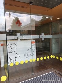 Puerta en el Hospital Veterinario Buenavista